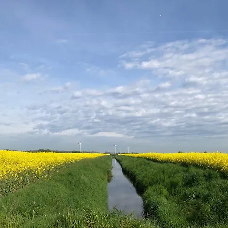 Tief 12 Jadekieker - 84 Schillig